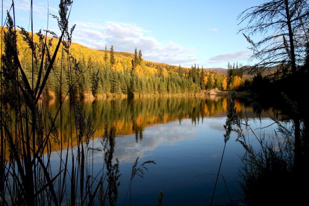Chena Hot Springs Resort Fairbanks Exteriér fotografie